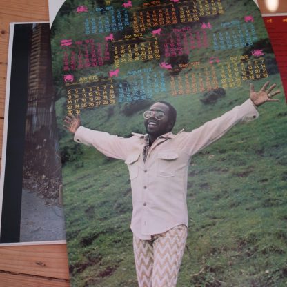 2318 045 Curtis Mayfield Roots